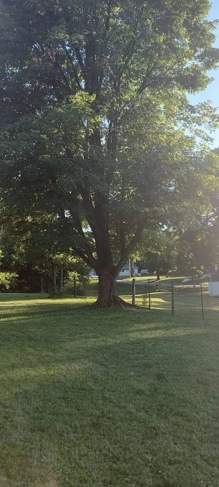 Trusted yard maintenance in Frankfort, KY - Jason Lawn Care