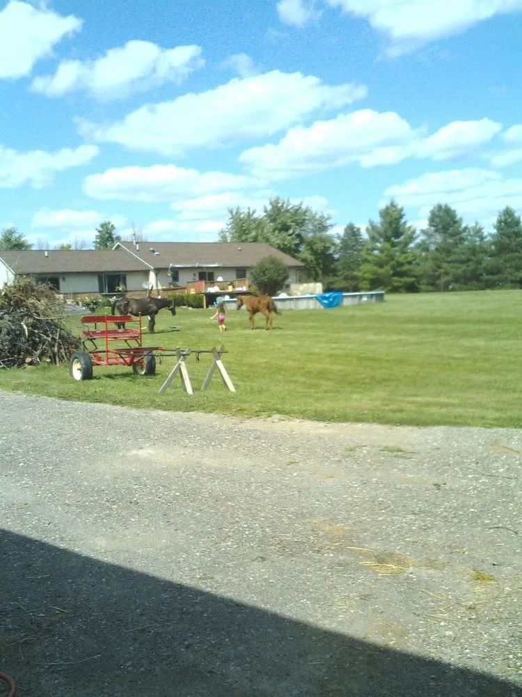 Professional outdoor landscaping experts serving Armada, MI - Jason Pallas Landscaping