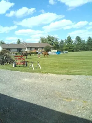 Jason Pallas Landscaping