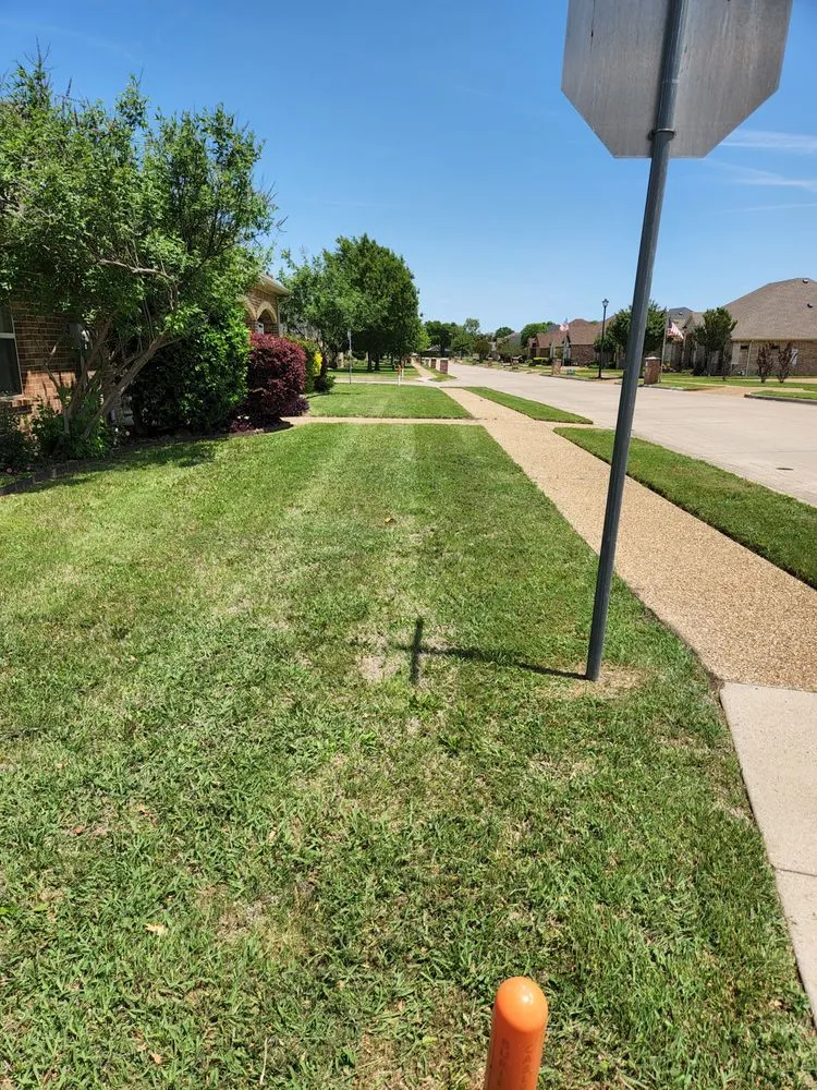 Top-rated yard maintenance with custom design across Waxahachie, TX - Jason Stilwell Property Maintenance Services