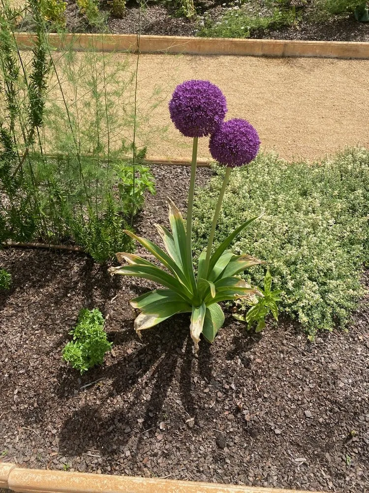 Professional garden landscaping for homes across Boiling Springs, SC - Jason Walton Lawn Care