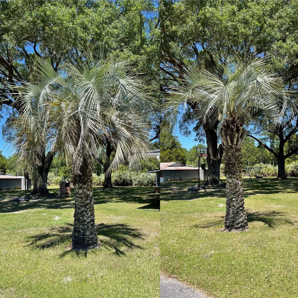 Affordable landscape installation for outdoor upgrades across Baldwin, FL - Jason Webb Lawn Service
