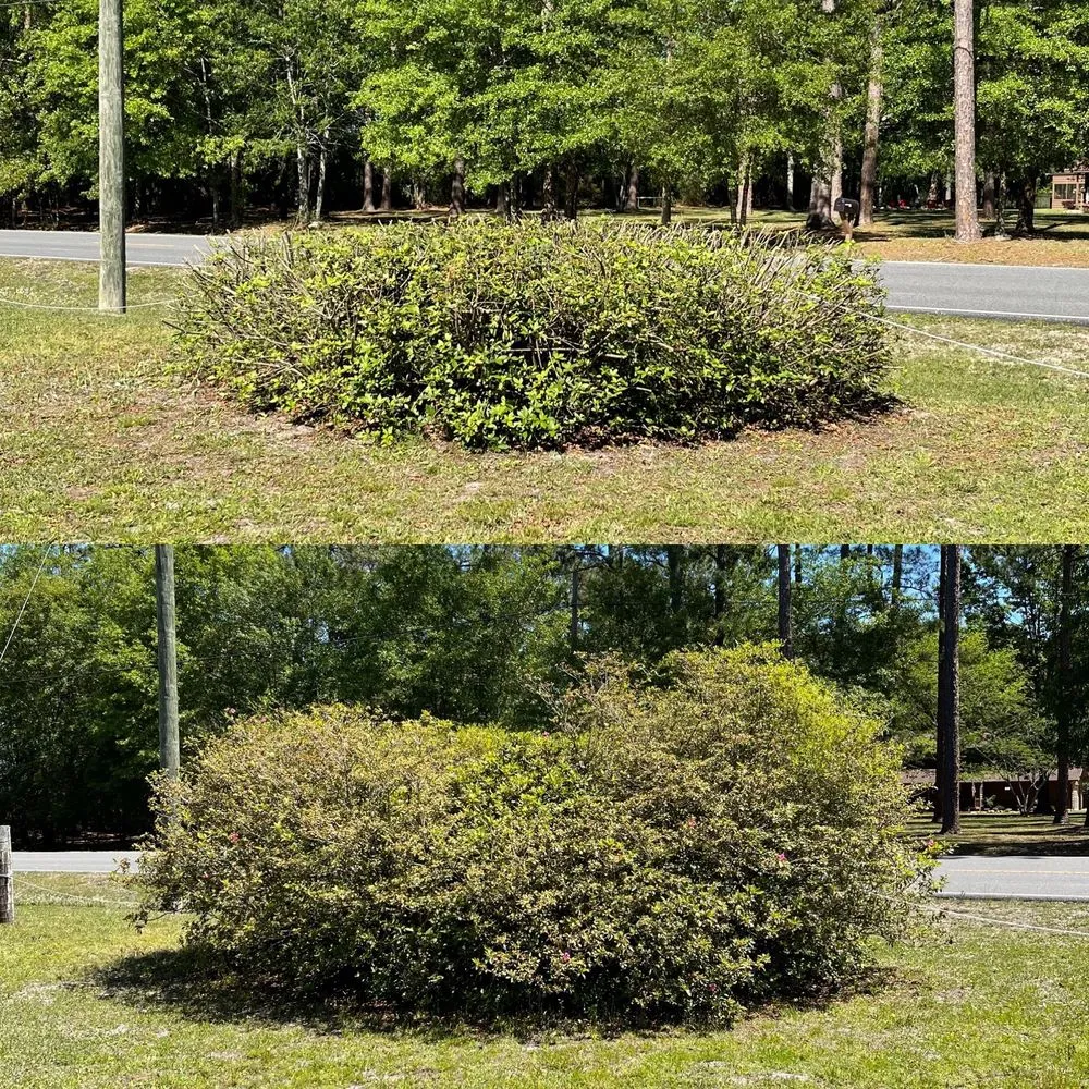 Custom lawn care service in Baldwin, FL by Jason Webb Lawn Service