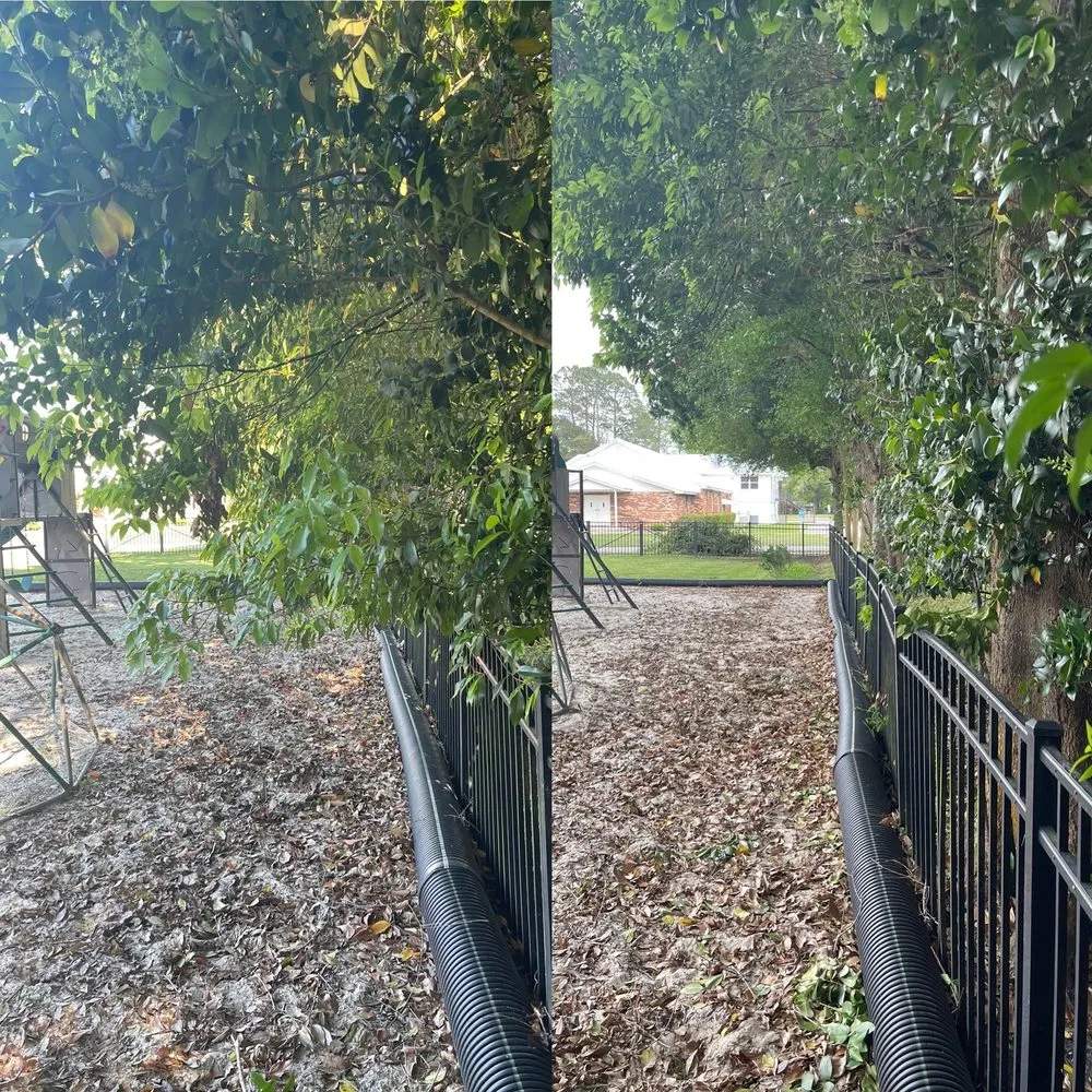 Top-rated lawn care service in Baldwin, FL by Jason Webb Lawn Service