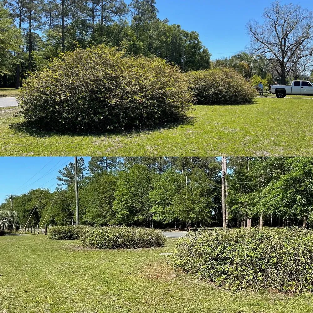 Affordable outdoor landscaping in Baldwin, FL by Jason Webb Lawn Service