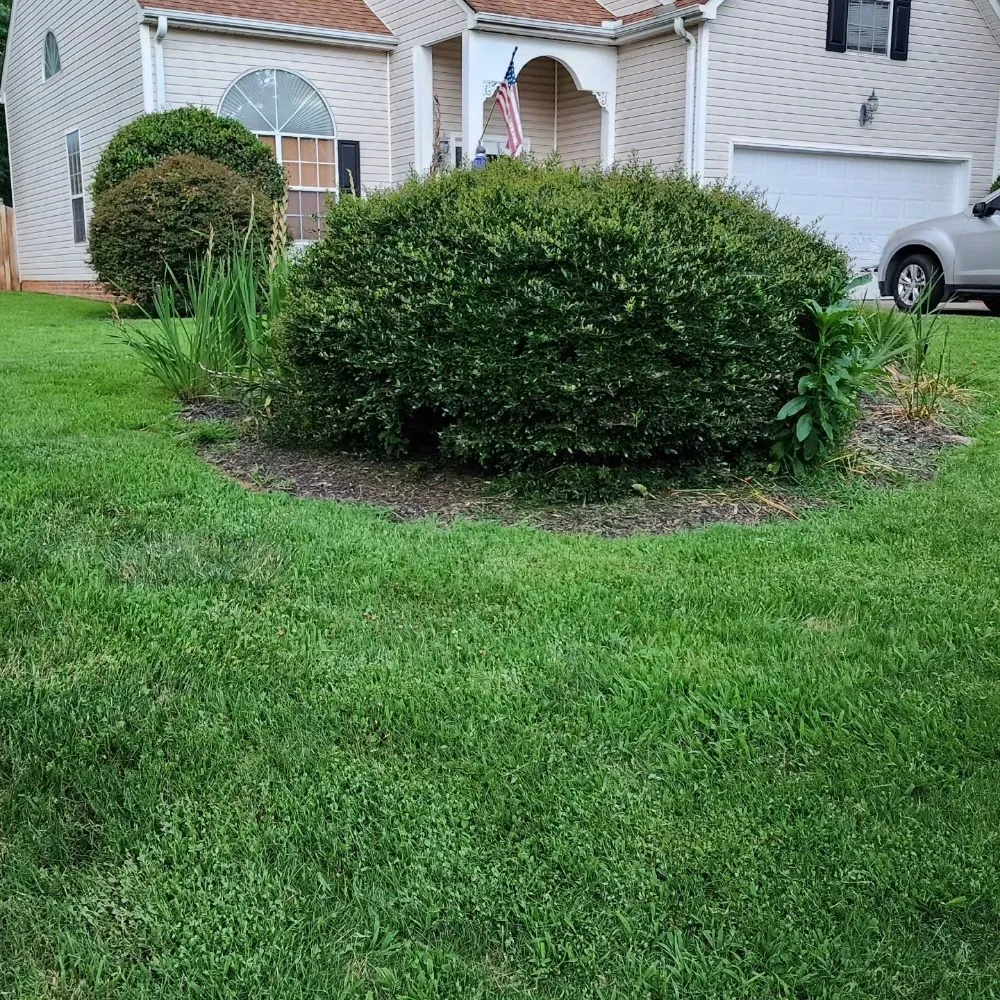 Reliable residential landscaping for outdoor upgrades in Simpsonville, SC by Jason Yard Scaping