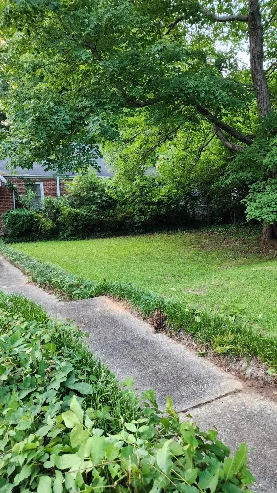 Top-rated landscaping services in Simpsonville, SC - Jason Yard Scaping