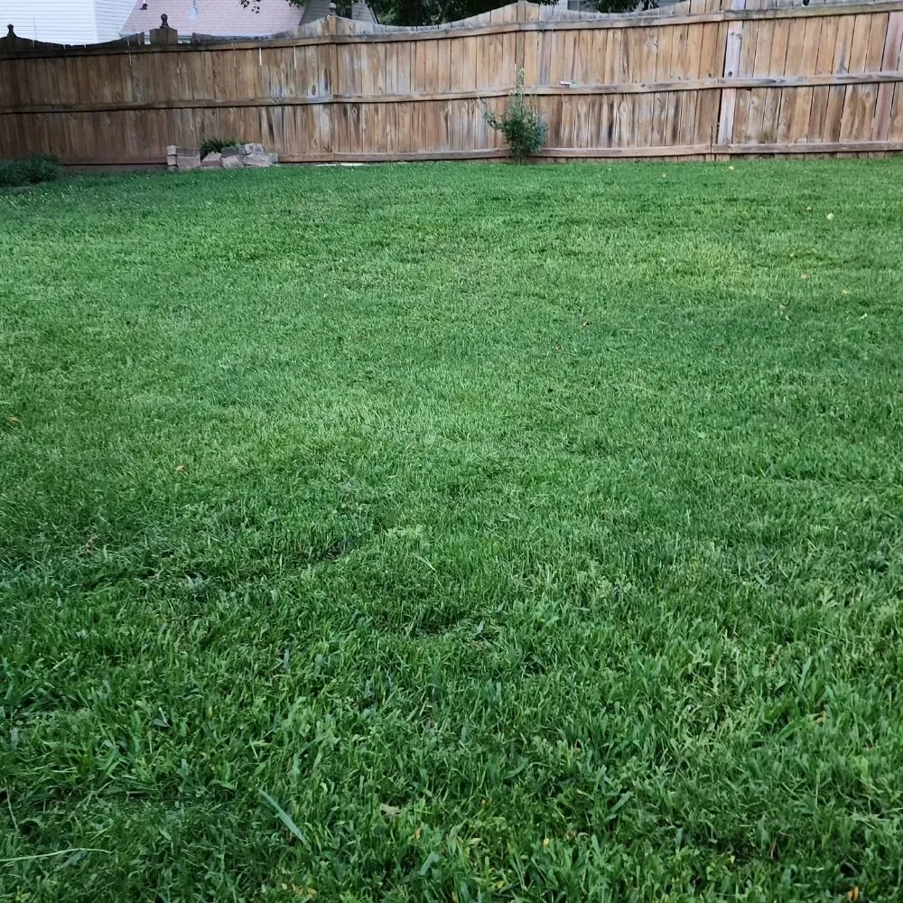 Top-rated outdoor landscaping for homes in Simpsonville, SC by Jason Yard Scaping