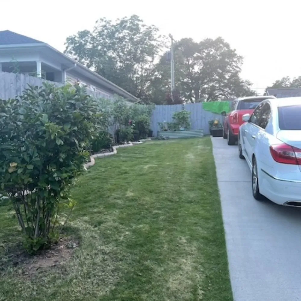 Professional landscaping services in Simpsonville, SC - Jason Yard Scaping