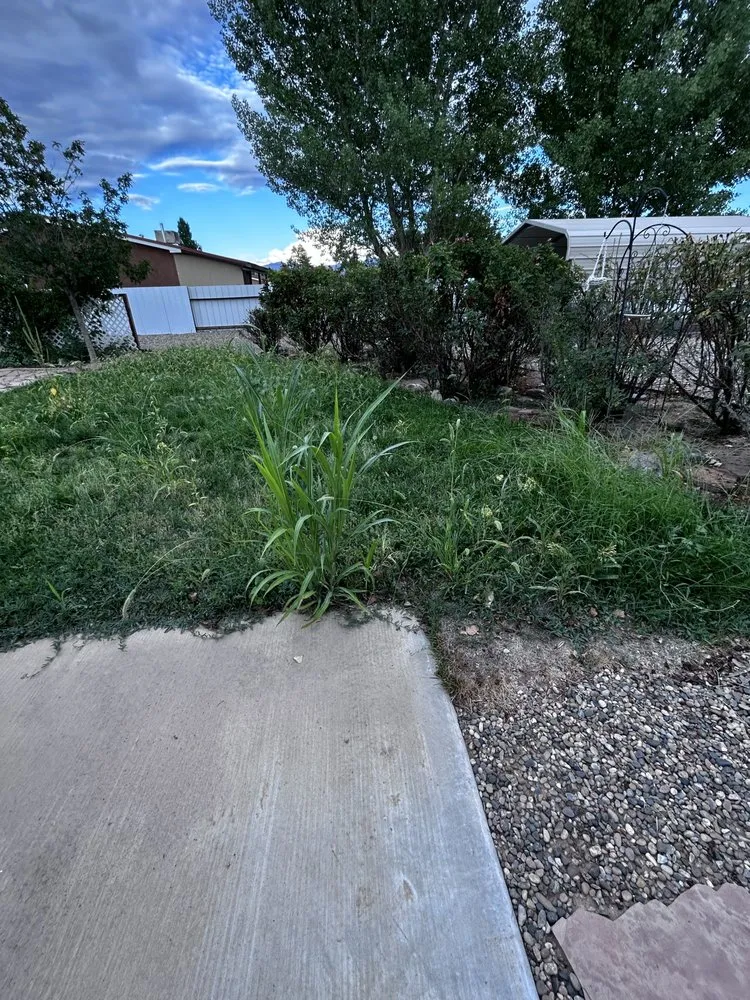 Top-rated landscaping services near you in Albuquerque, NM by Jason’s Chores and More