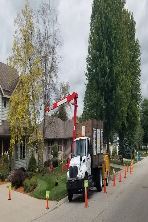 Professional yard maintenance for beautiful yards across Watertown, WI - Jason's Five Star Landscape & Design