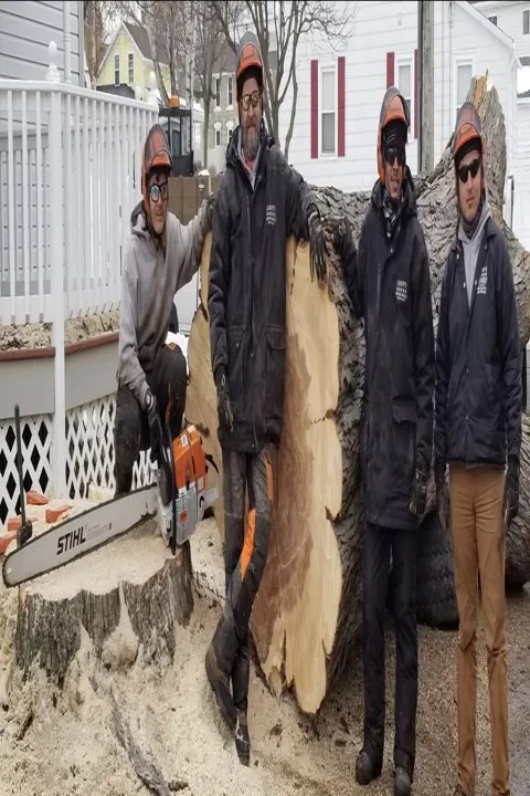 Custom landscape installation for year-round maintenance across Watertown, WI - Jason's Five Star Landscape & Design