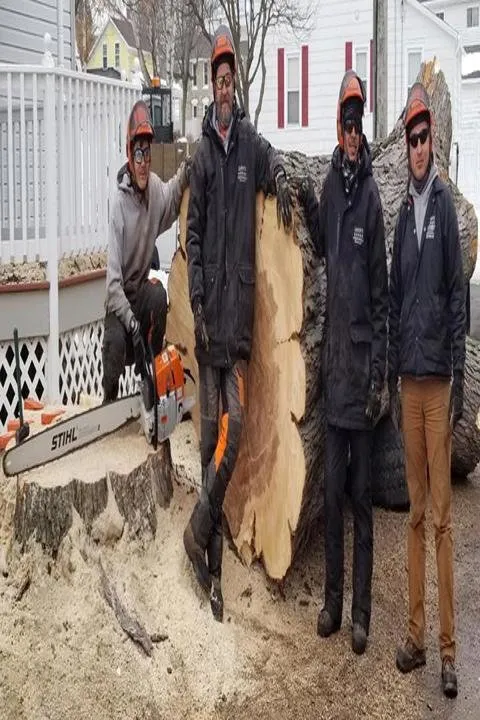 Expert garden landscaping near you across Watertown, WI - Jason's Five Star Landscape & Design