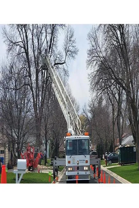 Local yard maintenance in Watertown, WI by Jason's Five Star Landscape & Design