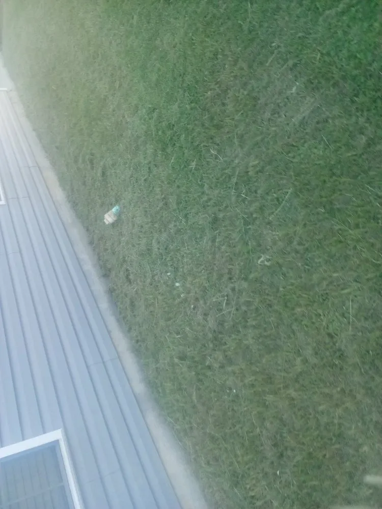 Affordable residential landscaping in Columbia, SC by Jason's Handy Service