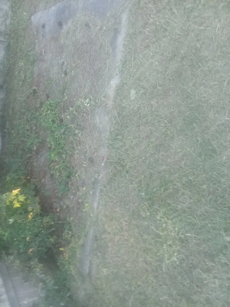 Local garden landscaping experts serving Columbia, SC - Jason's Handy Service