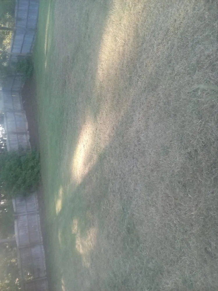 Reliable landscape installation for outdoor upgrades in Columbia, SC by Jason's Handy Service