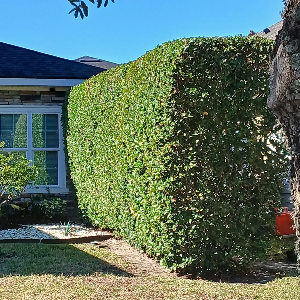 Top-rated yard maintenance experts serving High Springs, FL - Jason's Ideal Lawn Care Service