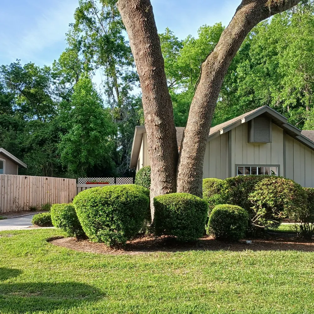 Affordable landscape installation for residential properties across High Springs, FL - Jason's Ideal Lawn Care Service