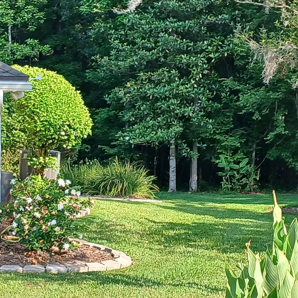 Expert lawn mowing service for year-round maintenance in High Springs, FL by Jason's Ideal Lawn Care Service