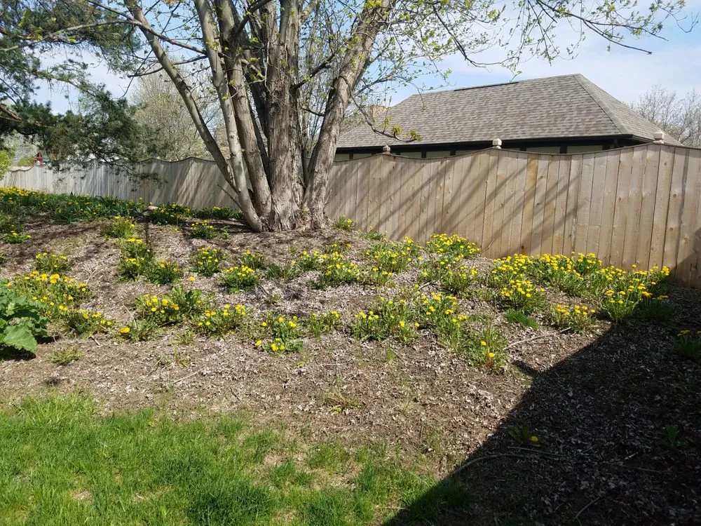 Professional landscape installation experts serving Vandalia, OH - Jasons Landscaping