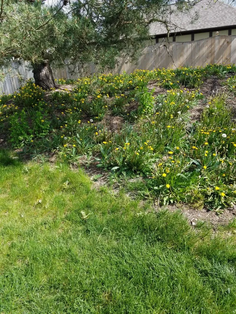 Professional lawn care service in Vandalia, OH - Jasons Landscaping