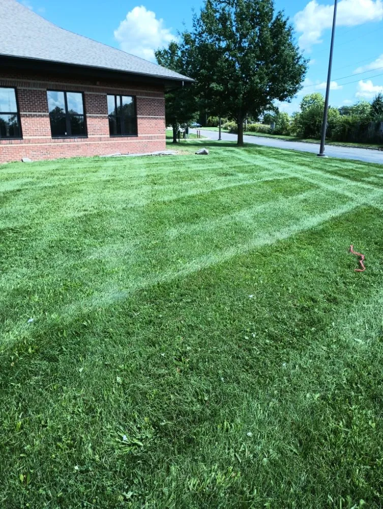 Reliable landscape installation in Coldwater, MI by Jason's lawn And landscape