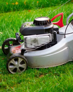 Affordable landscaping services for beautiful yards in Waco, TX by Jason's Lawn Care & Landscaping