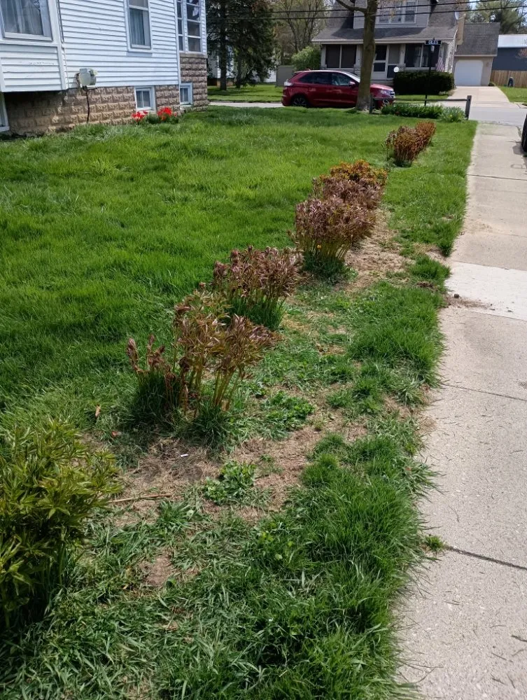 Reliable lawn mowing service in Lambertville, MI by Jason's Lawn Care Handyman Service