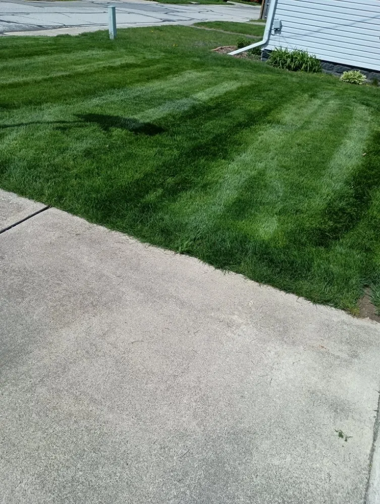 Local landscape installation in Lambertville, MI - Jason's Lawn Care Handyman Service