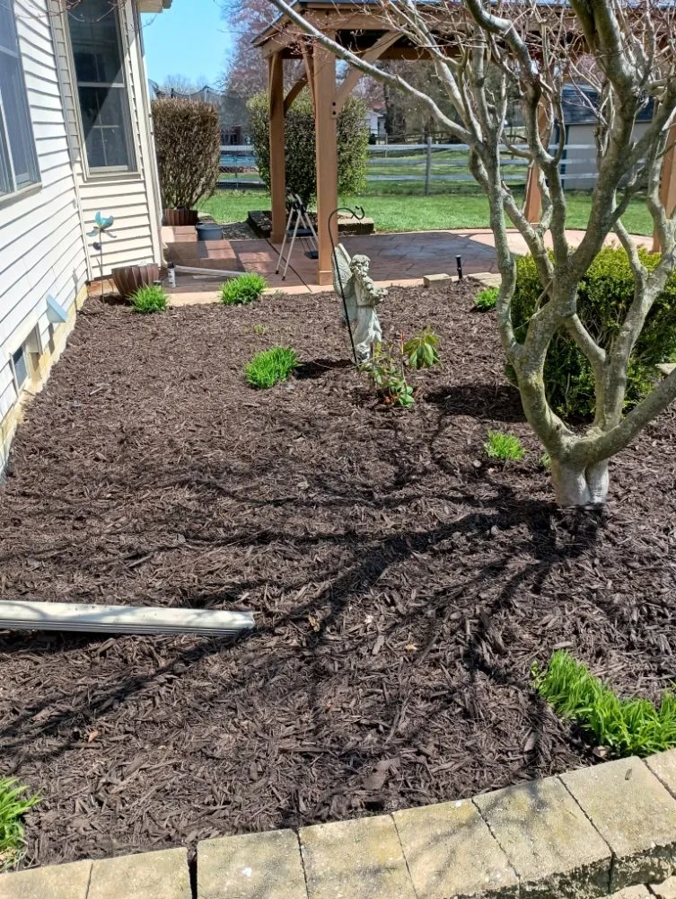 Local residential landscaping experts serving Lambertville, MI - Jason's Lawn Care Handyman Service