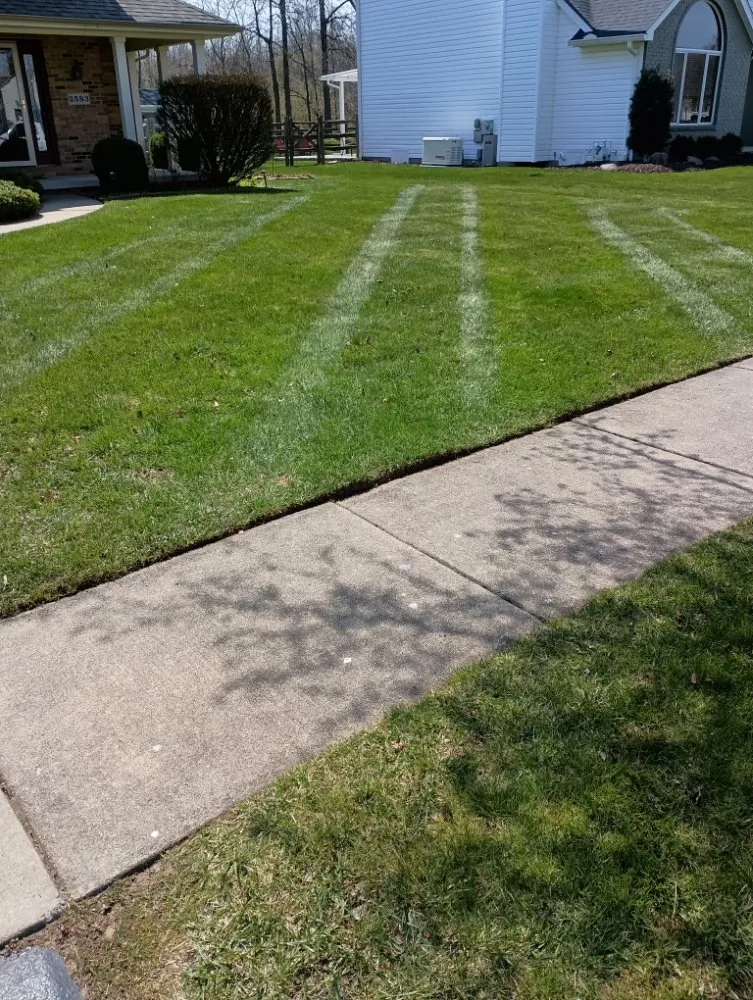 Expert garden landscaping in Lambertville, MI - Jason's Lawn Care Handyman Service