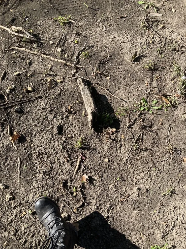 Professional lawn care service in Itasca, TX - Jason's Lawn Service