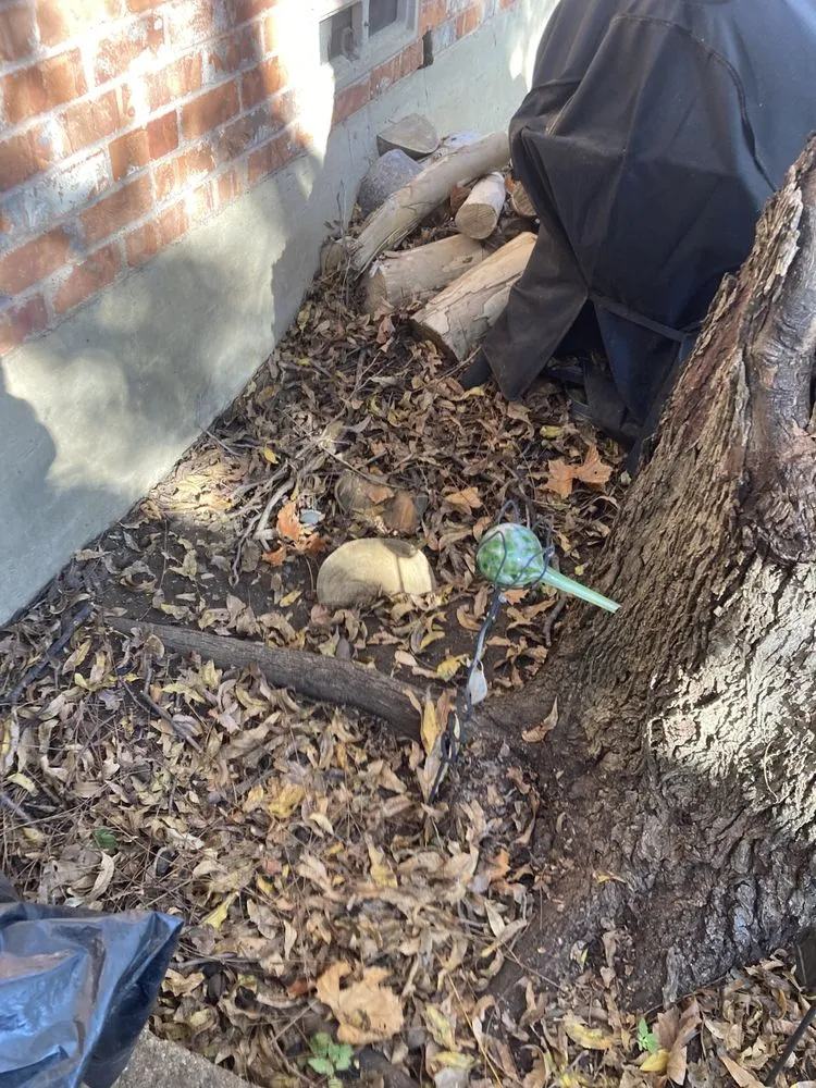 Professional yard cleanup service with custom design across Itasca, TX - Jason's Lawn Service