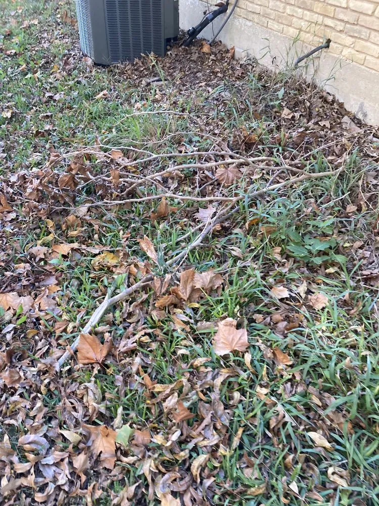 Trusted lawn mowing service for homes across Itasca, TX - Jason's Lawn Service