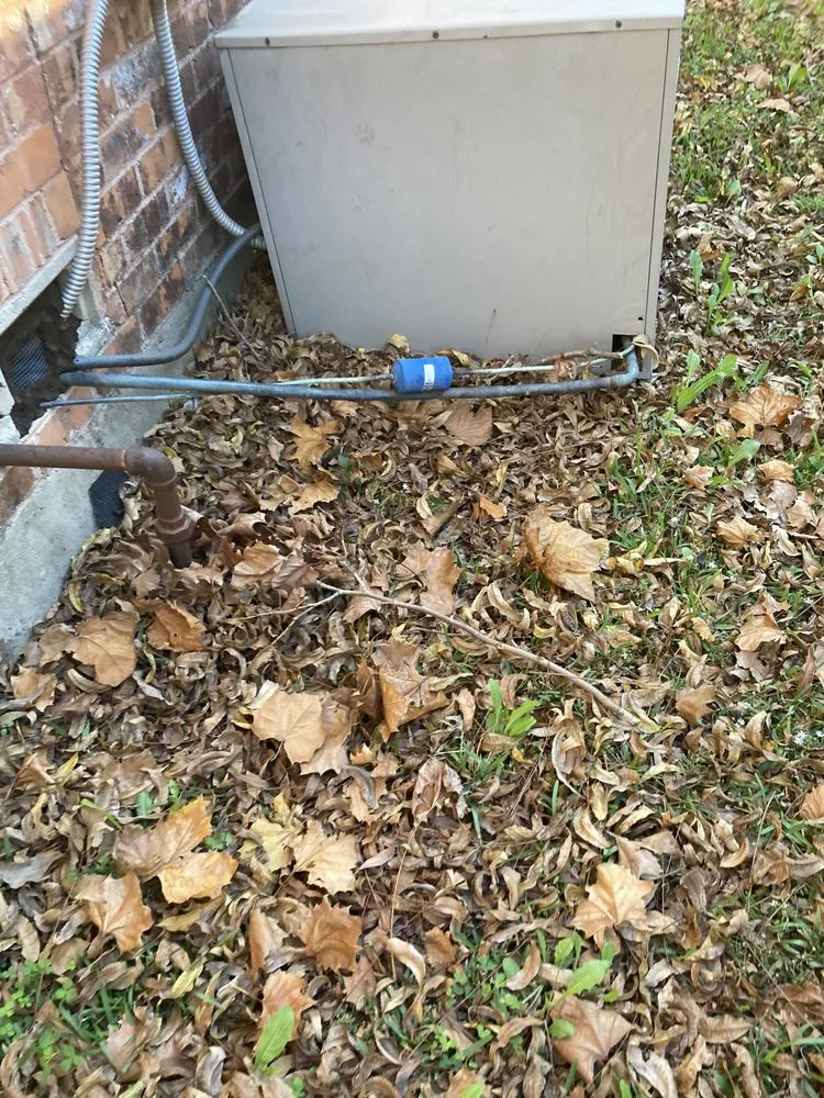 Expert yard maintenance in Itasca, TX by Jason's Lawn Service