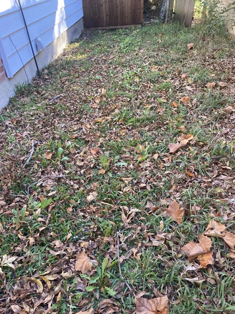 Expert lawn mowing service in Itasca, TX - Jason's Lawn Service