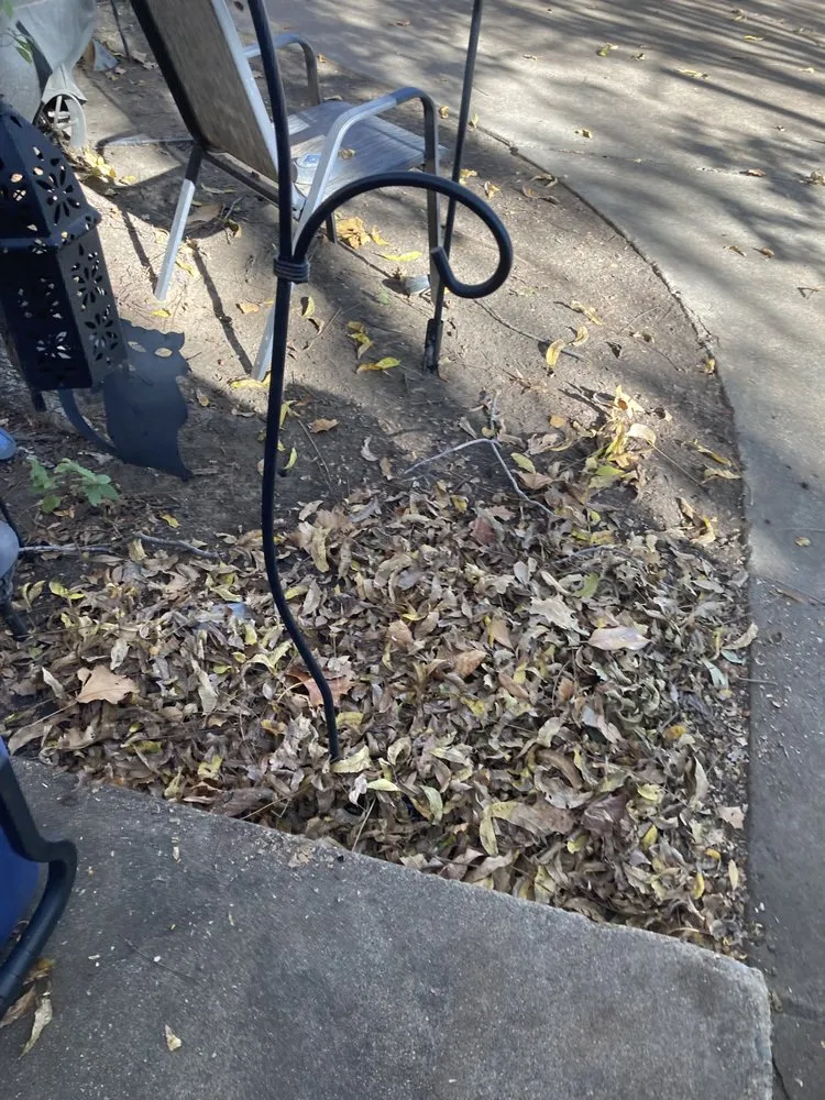 Top-rated landscaping services for beautiful yards across Itasca, TX - Jason's Lawn Service