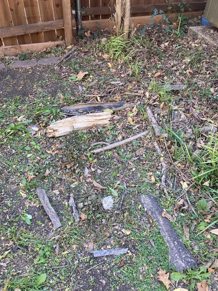 Trusted outdoor landscaping experts serving Itasca, TX - Jason's Lawn Service