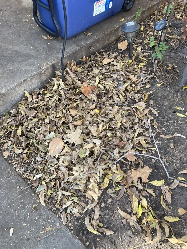 Reliable outdoor landscaping in Itasca, TX - Jason's Lawn Service