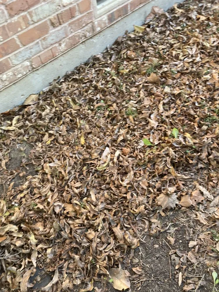 Top-rated lawn mowing service with custom design in Itasca, TX by Jason's Lawn Service