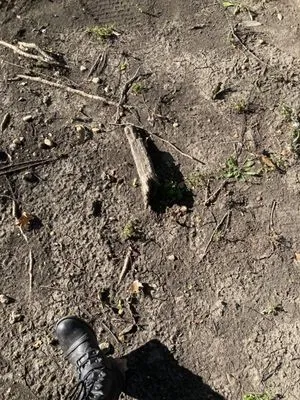 Jason's Lawn Service