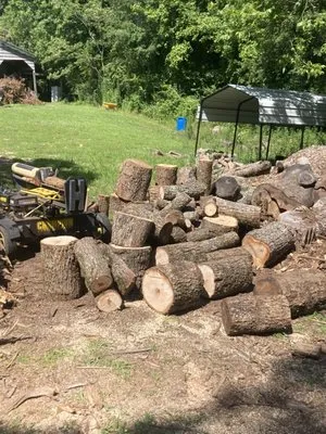 Jason’s Lawncare Logo