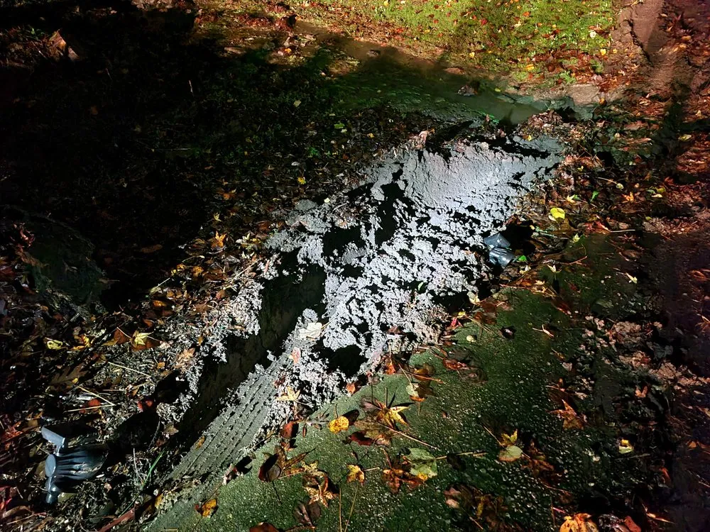 Local landscaping services in Garner, NC - Jason's Quality Landscaping