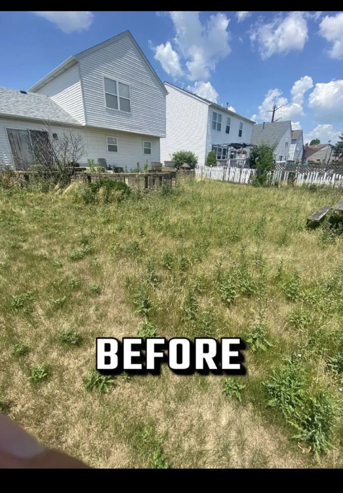 Affordable residential landscaping in Plainfield, IL - Jason’s Services