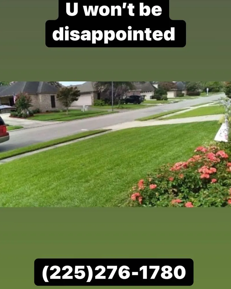 Local garden landscaping experts serving Baton Rouge, LA - Jason’s Total Lawn Care