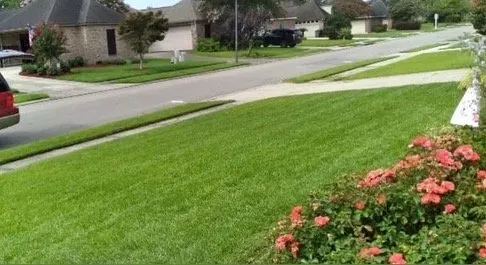 Affordable yard maintenance near you across Baton Rouge, LA - Jason’s Total Lawn Care