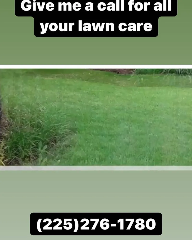 Trusted yard cleanup service near you in Baton Rouge, LA by Jason’s Total Lawn Care