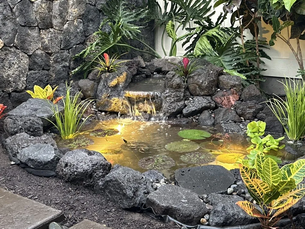 Expert lawn care service experts serving Kailua-Kona, HI - Jason's Watergardens