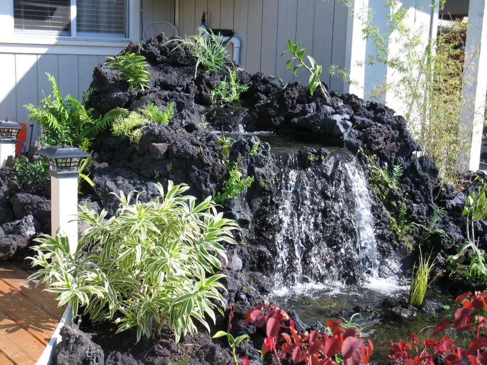 Trusted yard cleanup service in Kailua-Kona, HI by Jason's Watergardens